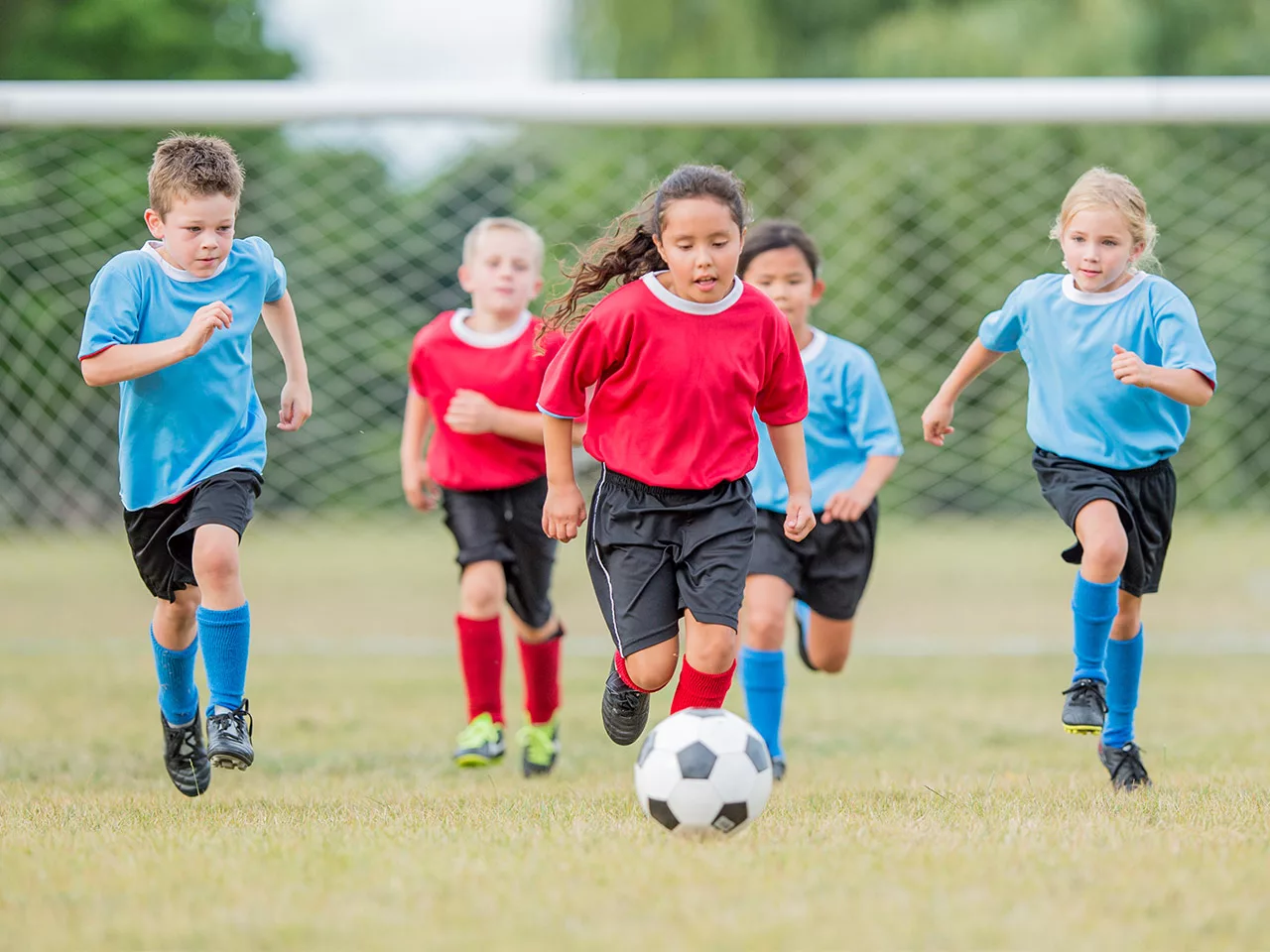 A group of children play soccer in red and blue game jerseys outdoors.