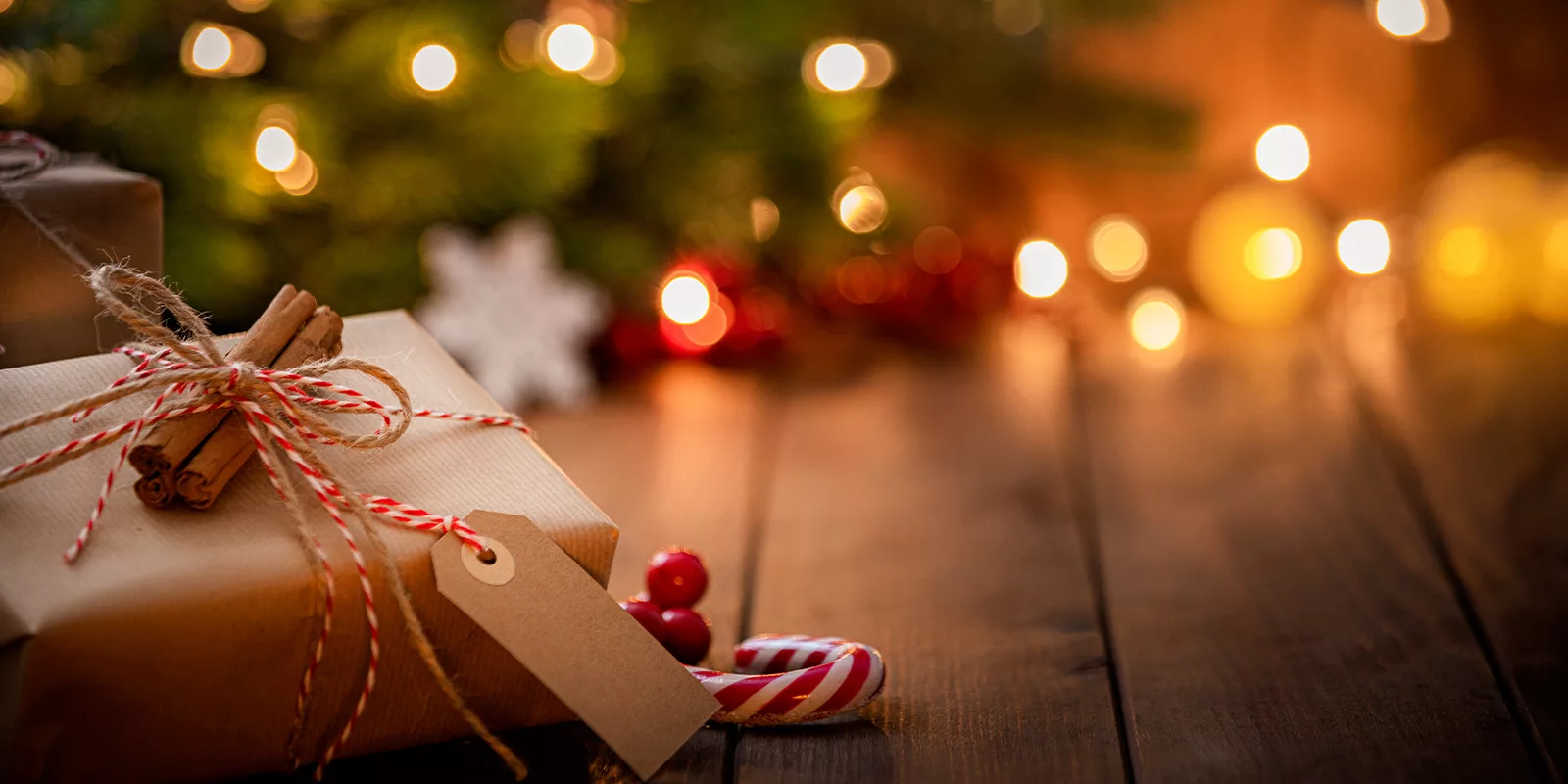 a pretty gift sits wrapped under a tree.