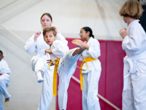 Taekwondo class