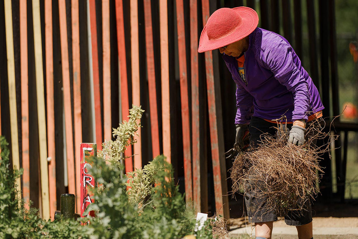 A woman wearing a red hat and a purple shirt bends to clear weeds from a garden. Rusted vertical metal columns are behind her.