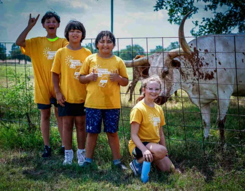 Four children (3 boys and 1 girl) in yellow camp t-shirts stand in order of height next to a white and brown longhorn at a farm with a fence separating them from the animal.The kids are smiling at the camera with one boy doing a thumbs up and one boy doing the rock n' roll salute.